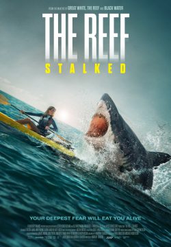 دانلود فیلم The Reef: Stalked 2022